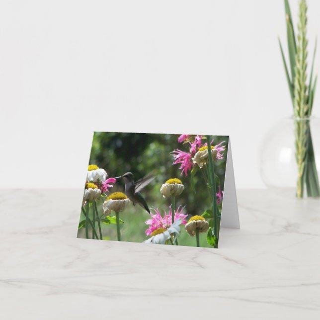 Carte Colibri 4 (Devant)