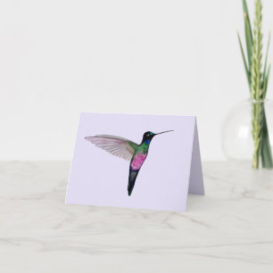 Carte Colibri à gorge bleue