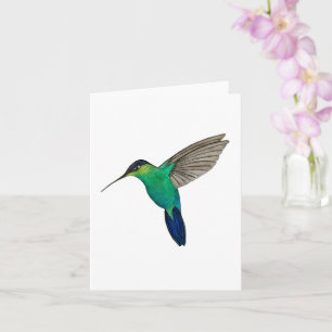 Carte Colibri à gorge fière
