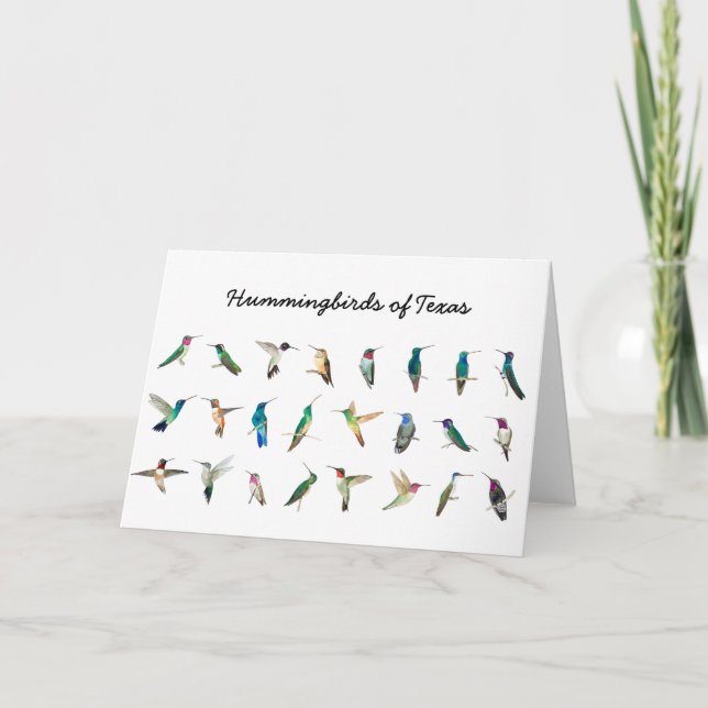 Carte Colibri du Texas (Devant)