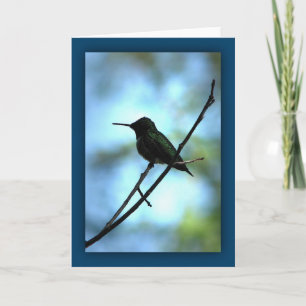 Carte Colibri en silhouette