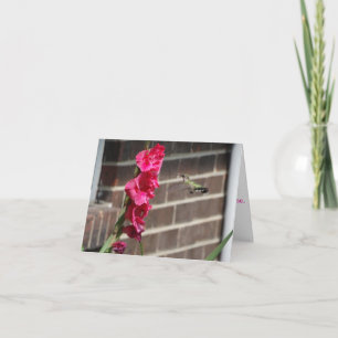 Carte Colibri et Fleur de Gladiola