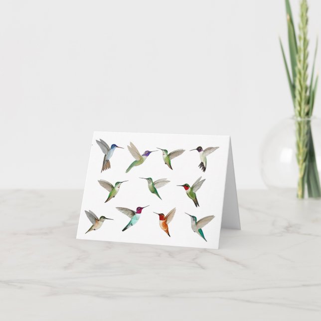 Carte Colibri nord-américain (Devant)