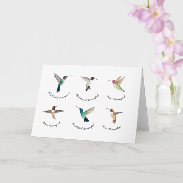 Carte Colibri nord-américain   (Orchidée)