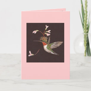 carte colibri, Ozzie