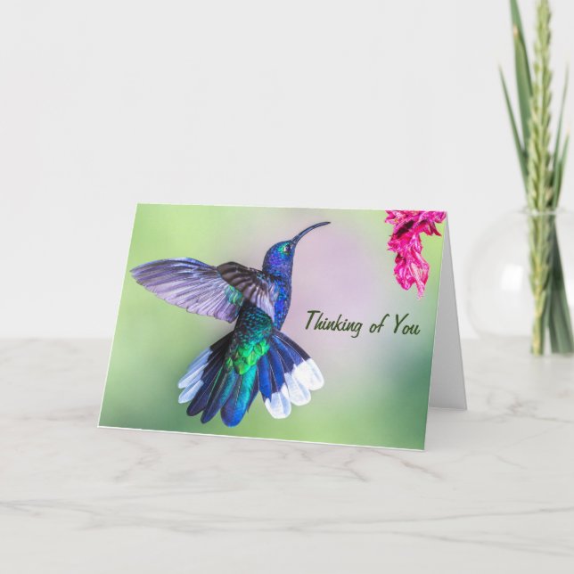 Carte Colibri Pourpre Pensant à Toi (Devant)