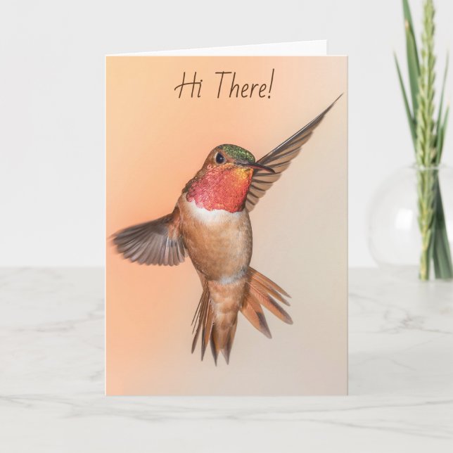 Carte Colibri roux orange Poser pour dire bonjour là (Devant)