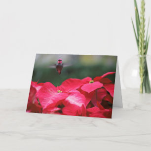 Carte Colibri sur les poinsettias de Noël