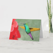 carte colibri toutes les occasions