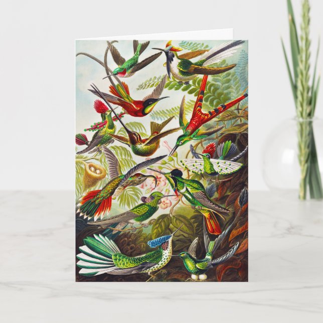 Carte Colibri Vintage par Ernst Haeckel (Devant)