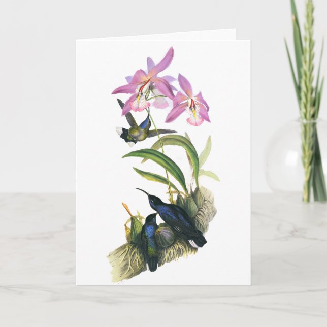 Carte Colibris et orchidées roses (Devant)