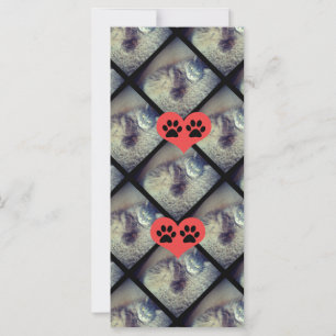 Carte Collage de chats avec PawPrints par Shirley Taylor