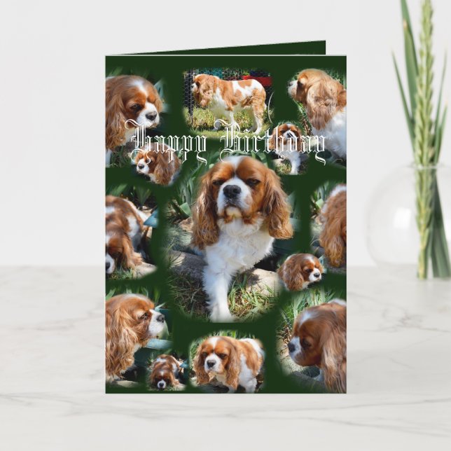 Carte Collage photo de chien Cavalier Joyeux anniversair (Devant)