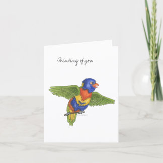 Carte Collection Budgie  Note Card