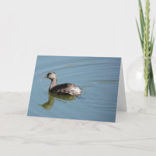Carte Collection d'oiseaux : Petit Grebe (notes en blanc
