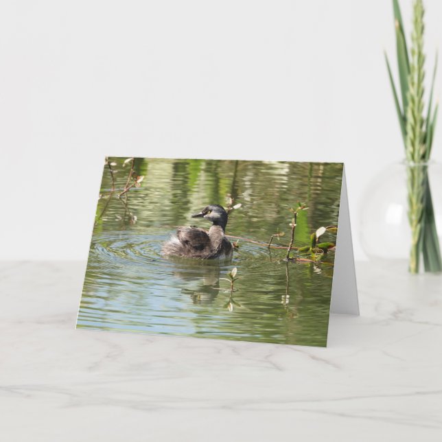 Carte Collection d'oiseaux : Petit Grebe (notes en blanc (Devant)