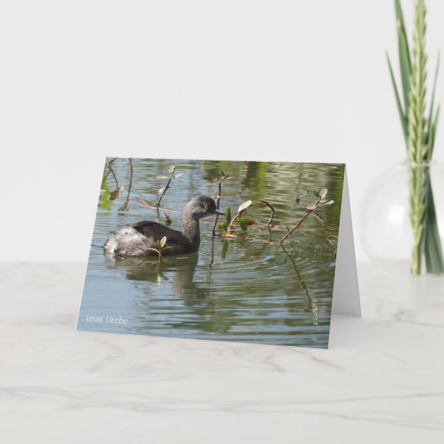 Carte Collection d'oiseaux : Petit Grebe (notes en blanc (Devant)