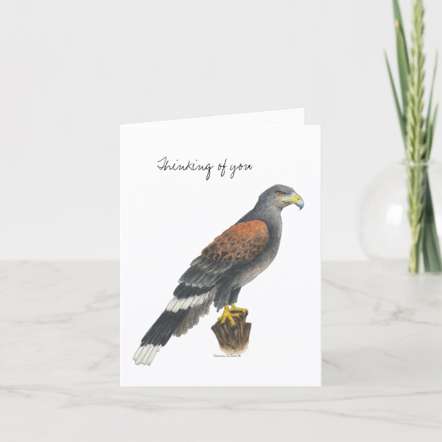 Carte Collection Falcon  Note Card (Devant)