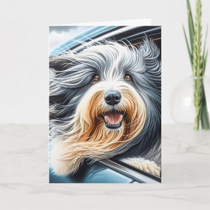 Carte Collie À Porte Dans La Fenêtre De Voiture