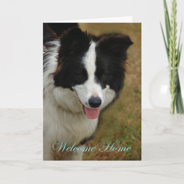 Carte Collie Bienvenue à la maison. Heureux que tu sois  (Devant)