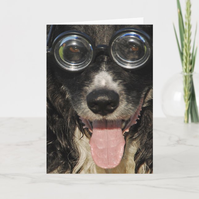 Carte Collie Bordure (Devant)