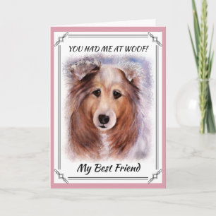CARTE COLLIE GORGEUSE