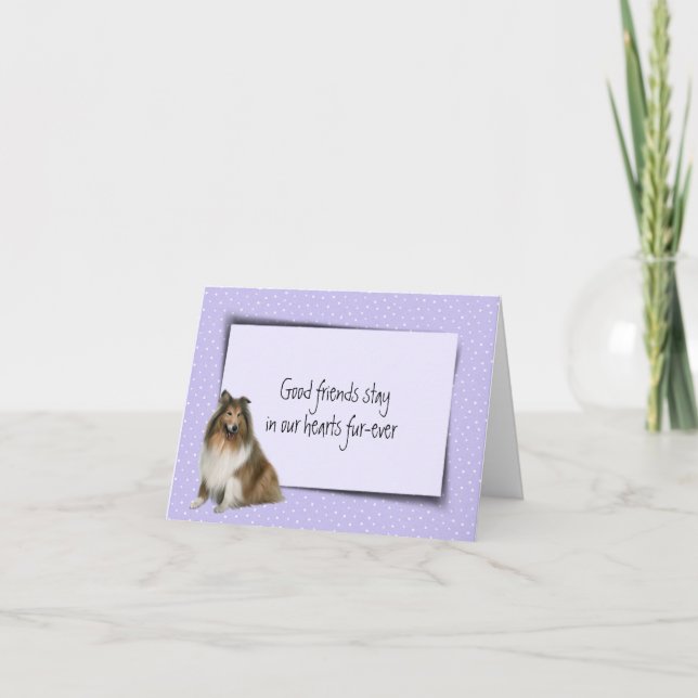 Carte Collie Pet Perdre la sympathie (Devant)