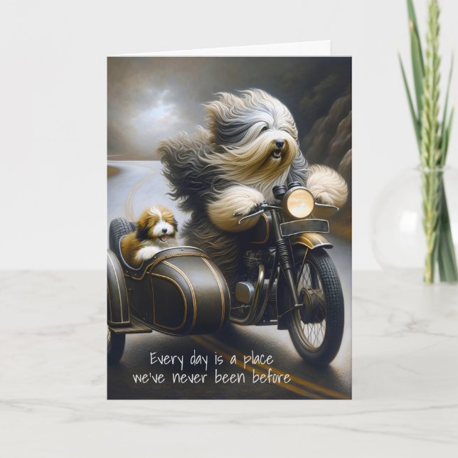 Carte Collies D'Anniversaire À Moto (Devant)