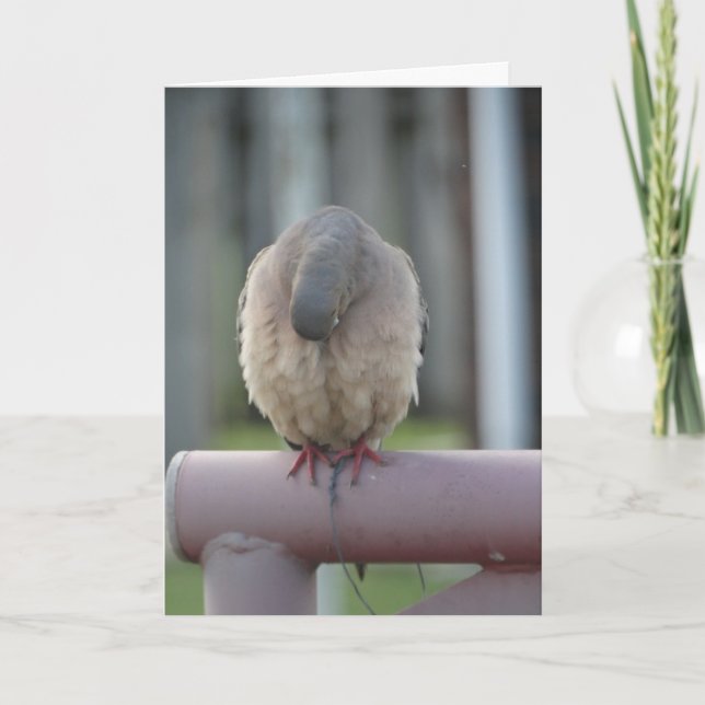 Carte Colombe de prière (Devant)