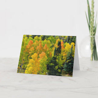 Carte Colorado Aspen Grove