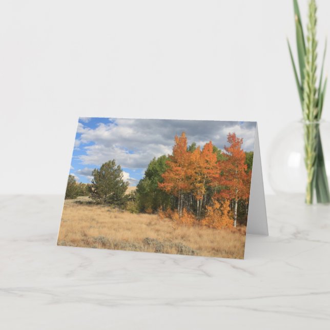Carte Colorado Automne Aspen Trees Toutes les occasions (Devant)
