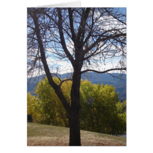 Carte Colorado Automne (vide)