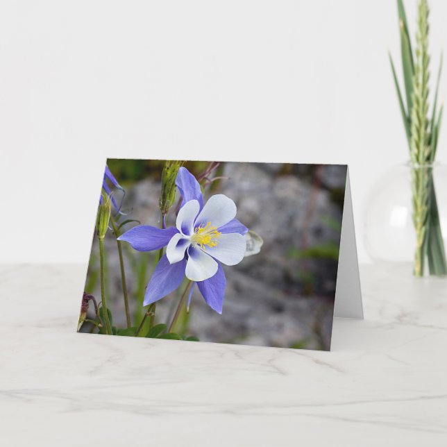 Carte Colorado Columbine (Devant)