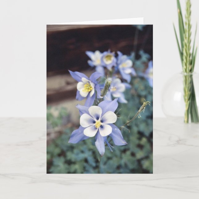 Carte Colorado Columbine Bleue (Devant)