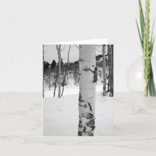 Carte Colorado Hiver Aspen