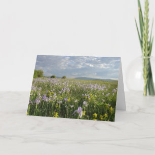 Carte Colorado Mountain Fleurs sauvages Toutes les occas
