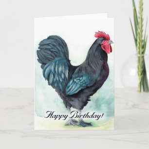 Carte colorée d'anniversaire de poulet debout. Coq