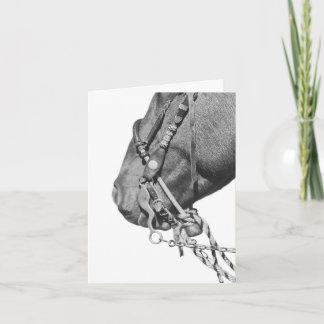 Carte Colt in the Two Rein - 4" x 5.6" Notecard