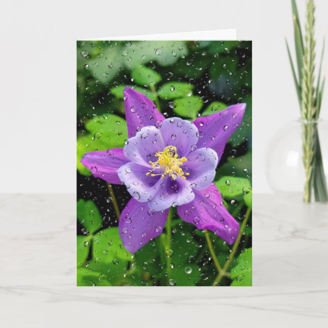 Carte Columbine Violet Avec Arroseaux (Devant)