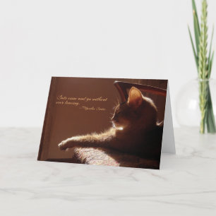 Carte Come and Go pour les chats