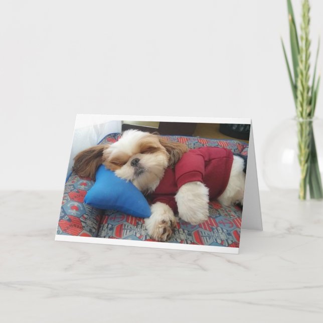 CARTE COMEDIC DOG DIT FAIRE ÇA SUR FÊTE DES PÈRES (Devant)