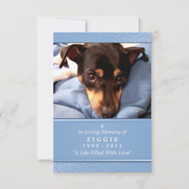 Carte commémorative pour animaux 3,5 x 5 bleu clai (Devant)