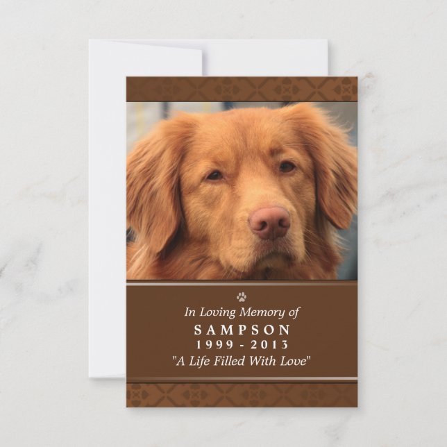 Carte commémorative pour animaux de compagnie 3,5  (Devant)