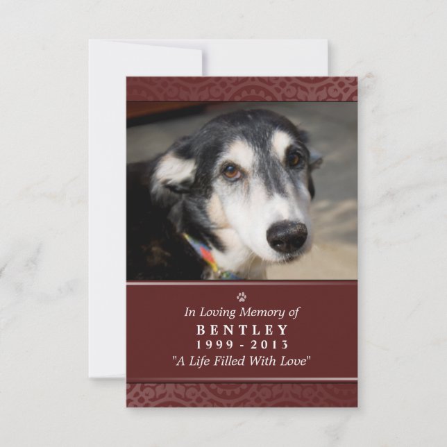 Carte commémorative pour animaux de compagnie 3,5" (Devant)