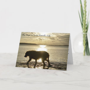 Carte Comment les chiens ont inspiré St Patrick