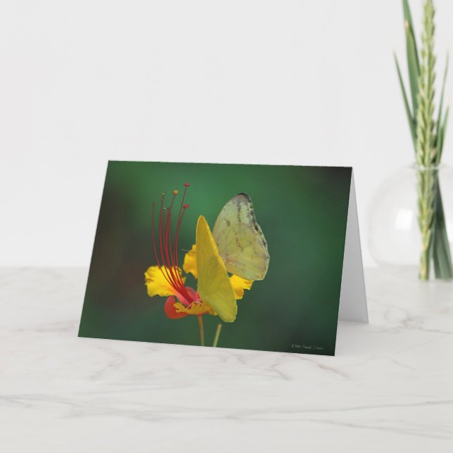 Carte COMMUNION - vieille version (Devant)