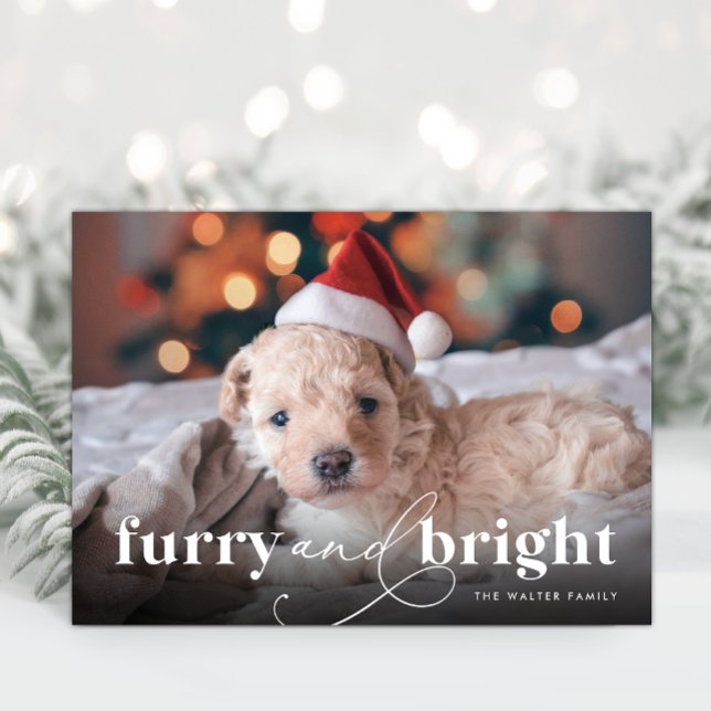 Carte complète de vacances Furry & Bright (Furry & Bright Full Photo Holiday Card)