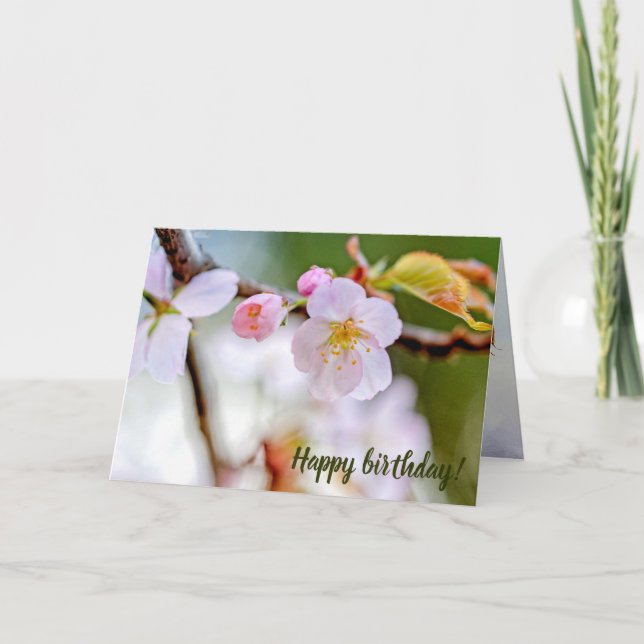 Carte Composition Florale Naturelle Des Fleurs Sakura (Devant)