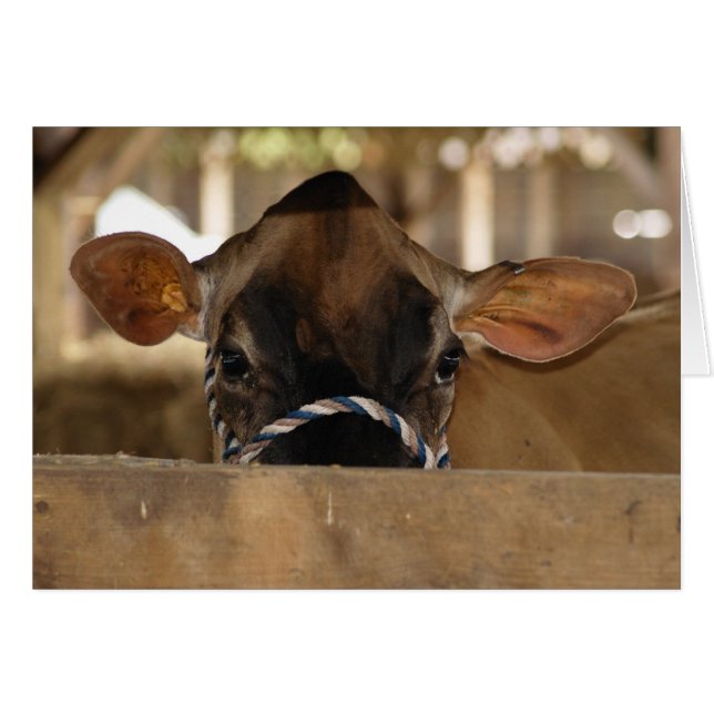 Carte Comté Fair (Devant Horizontal)