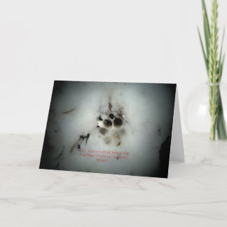 Carte Condolance Sympathie Canine